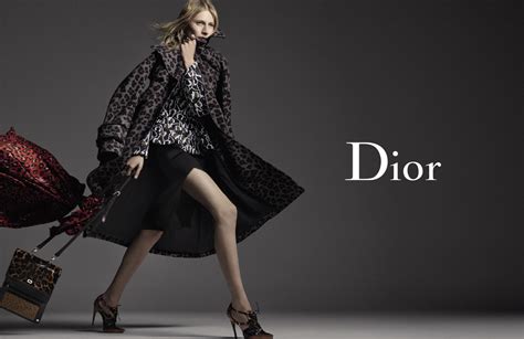 all stat dior|Dior fashion brands.